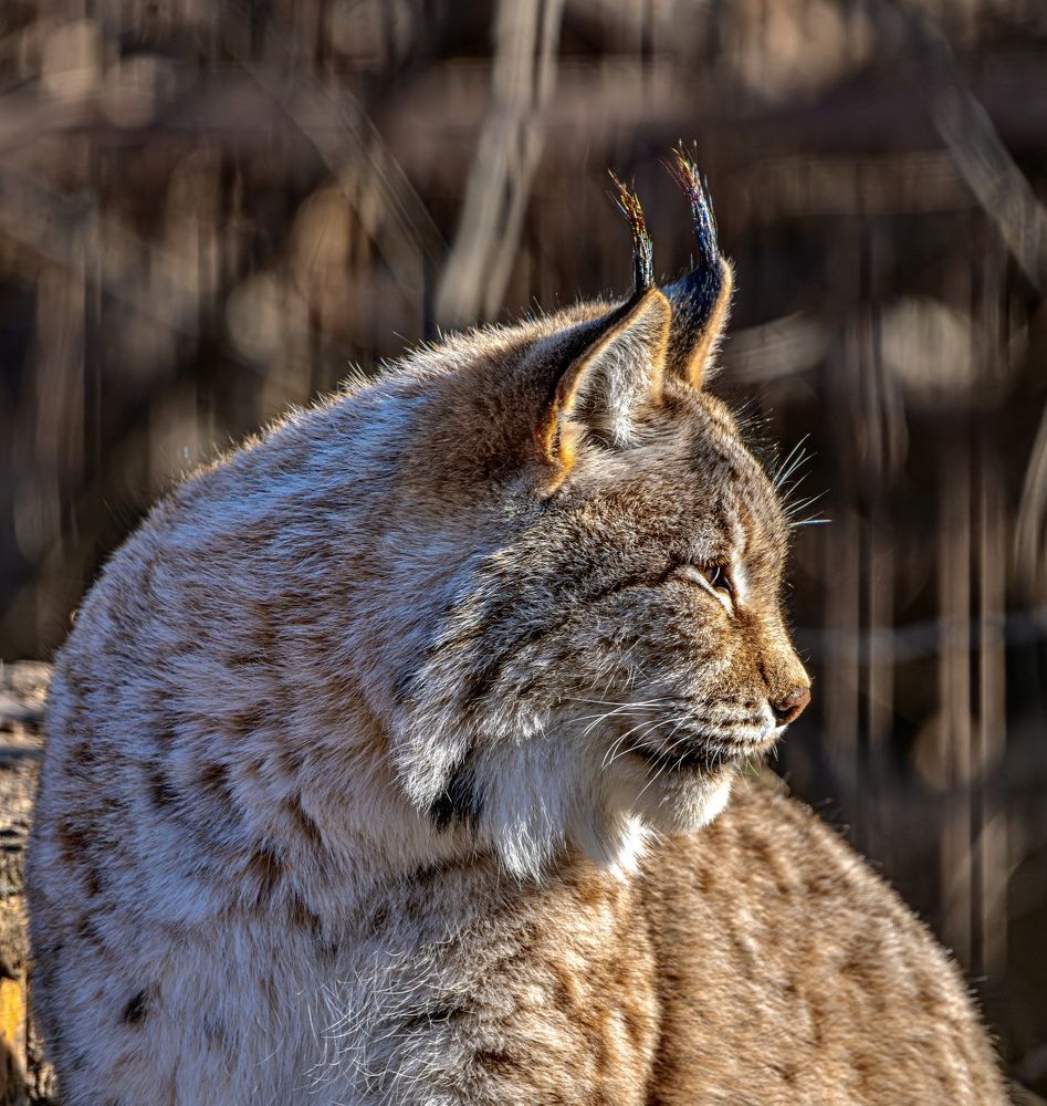 Photograph by Алексей Симонов