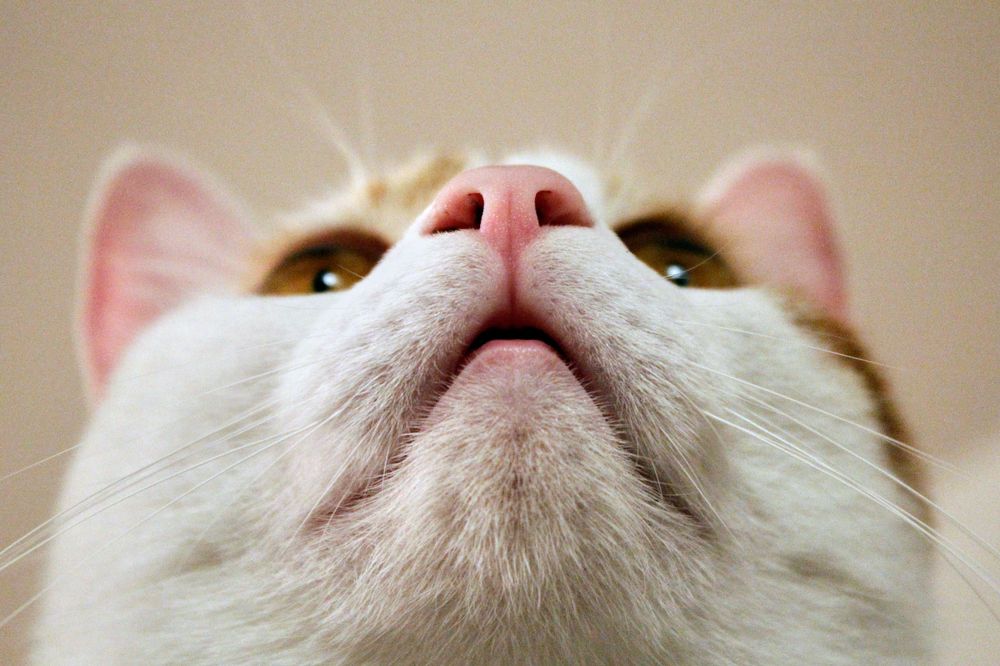 Photograph by Yan Arshavsky