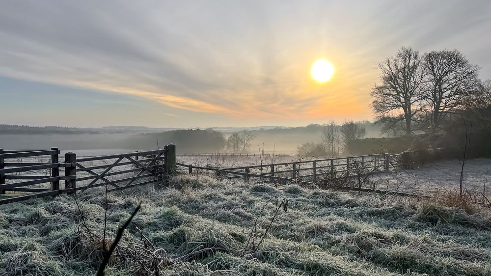 Фотография автора Chris Nicholson