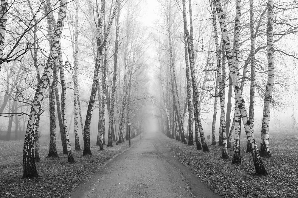 Photograph by Ирина Моругина