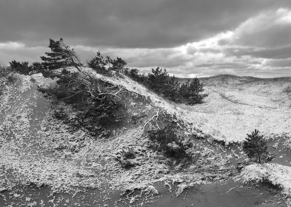 Photograph by Arnis Krūmiņš