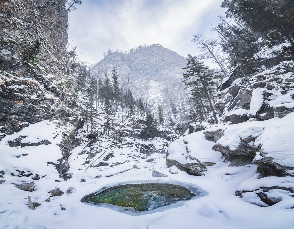 Photograph by Портных Дмитрий