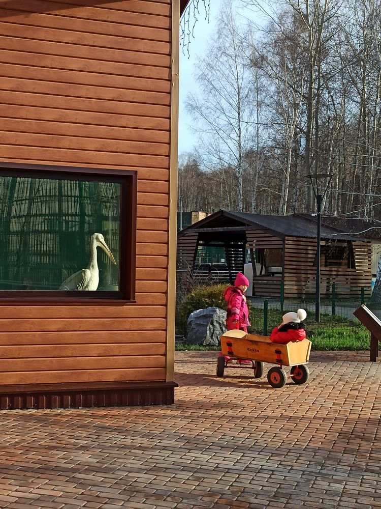 Photograph by Татьяна Попова