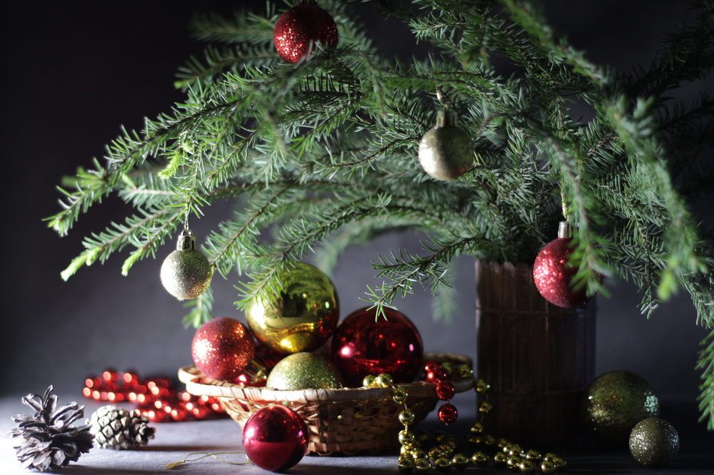 Photograph by Людмила Таерова