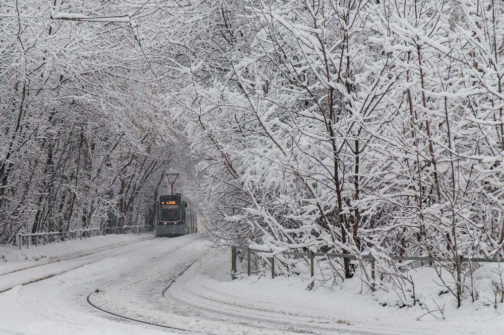 Photograph by Татьяна Гладкова