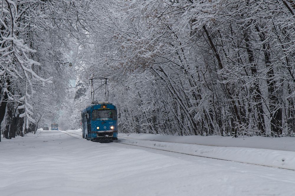 Photograph by Татьяна Гладкова