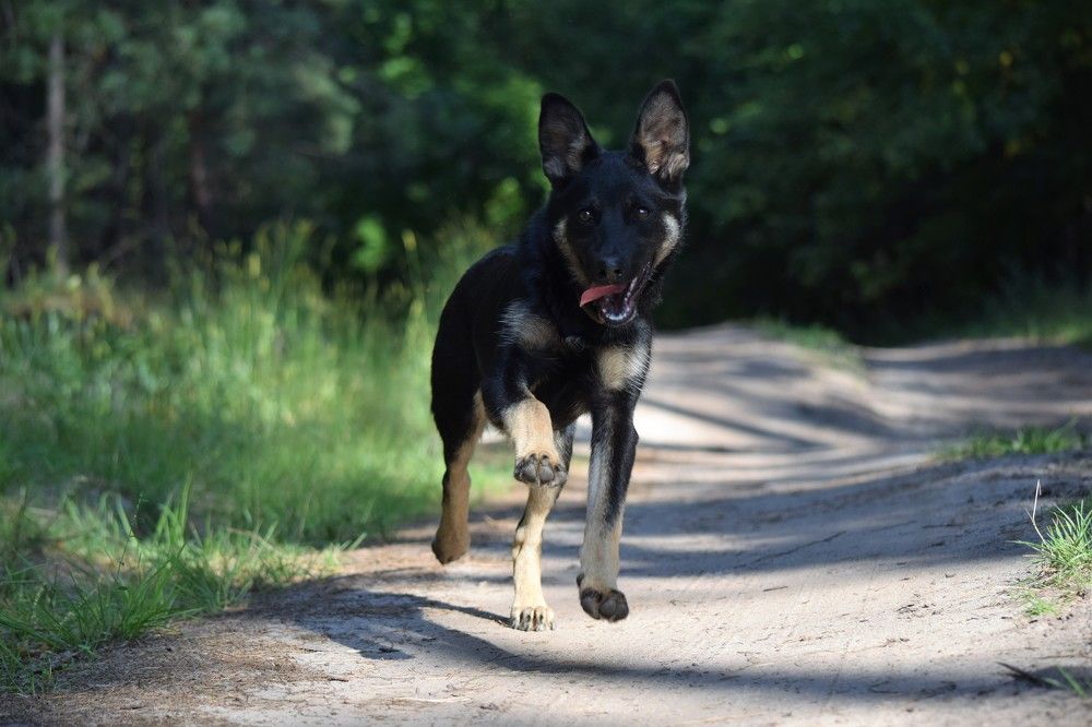 Photograph by Лариса Стрекулева