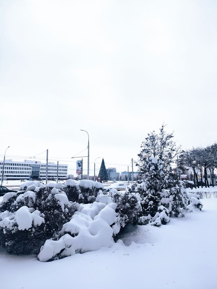 Photograph by Ирина Половцева