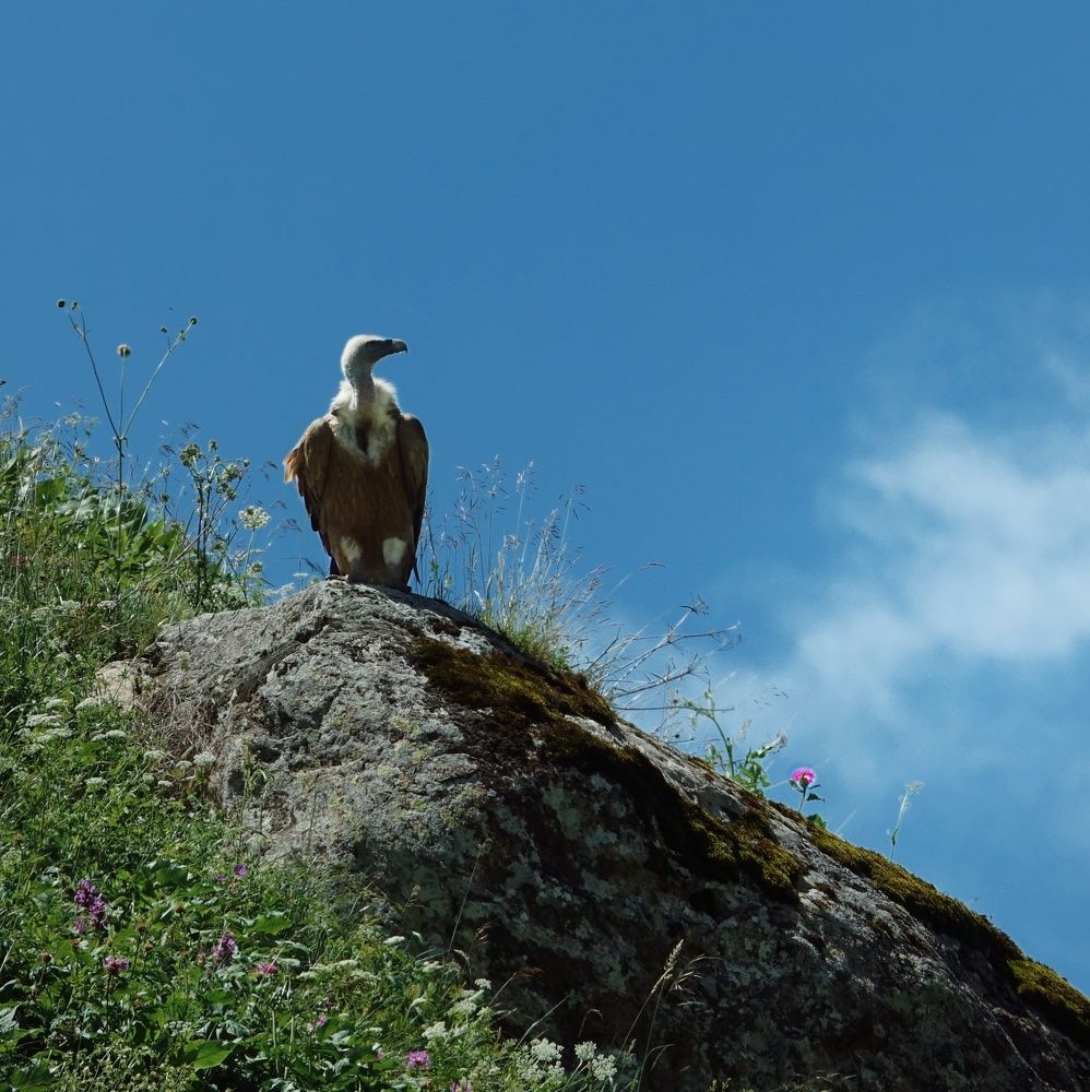 Photograph by Портнов Алексей