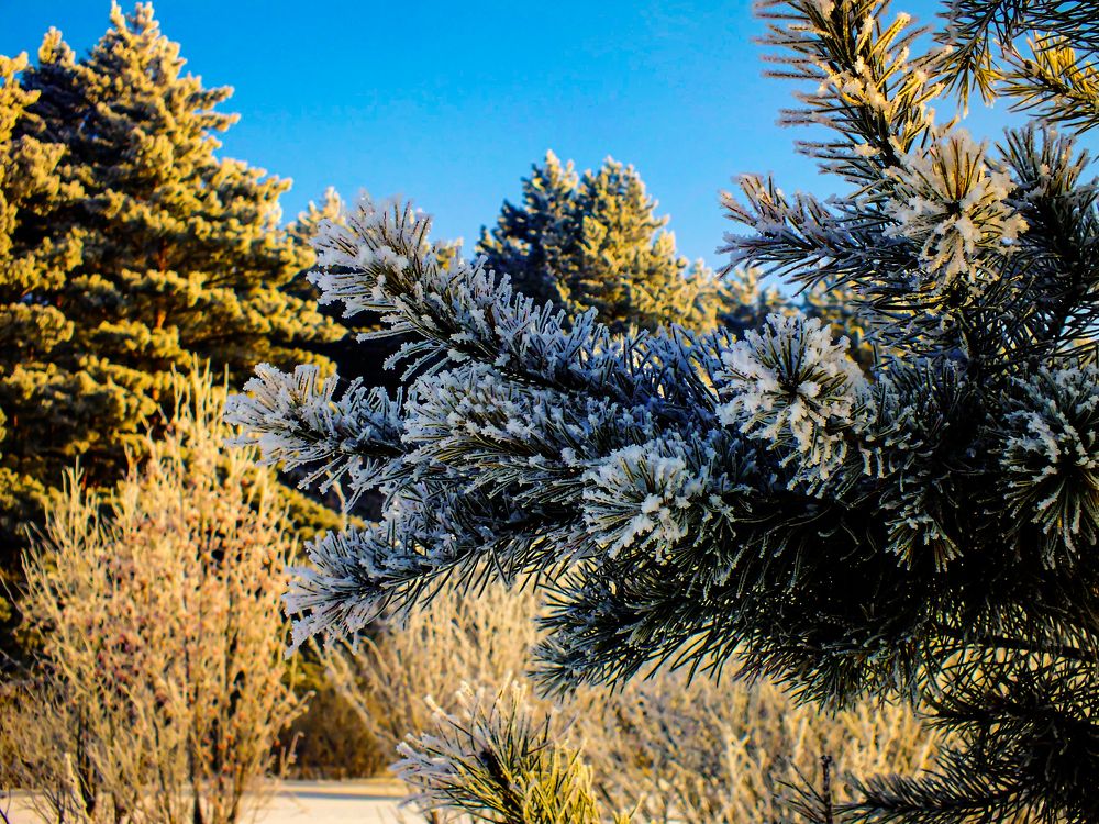 Photograph by Сергей Михайлов