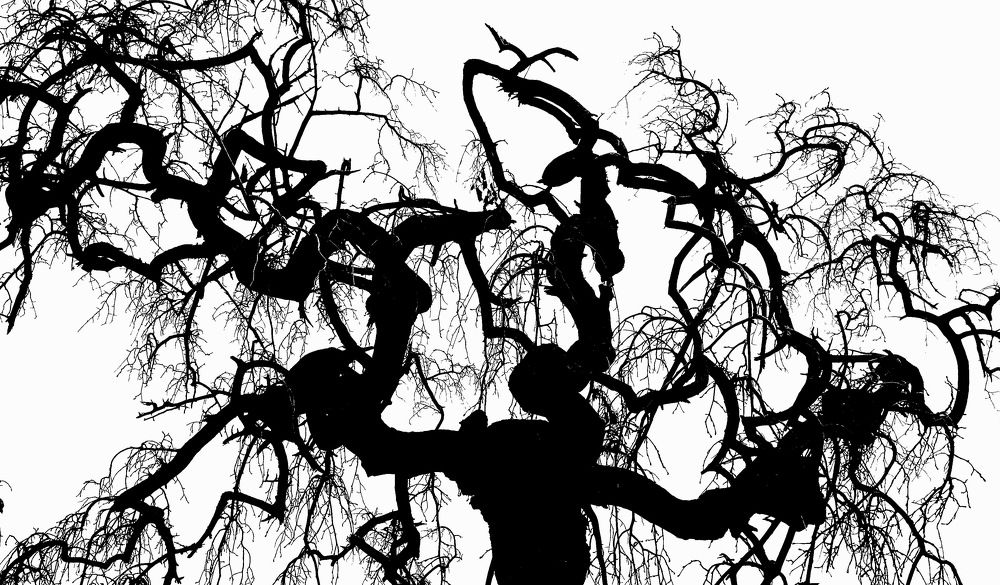 Фотография автора Александр Машников