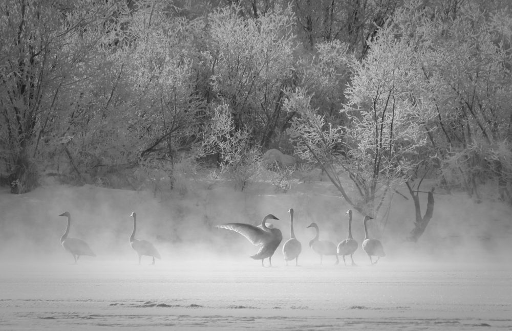 Photograph by Наталья Турчик