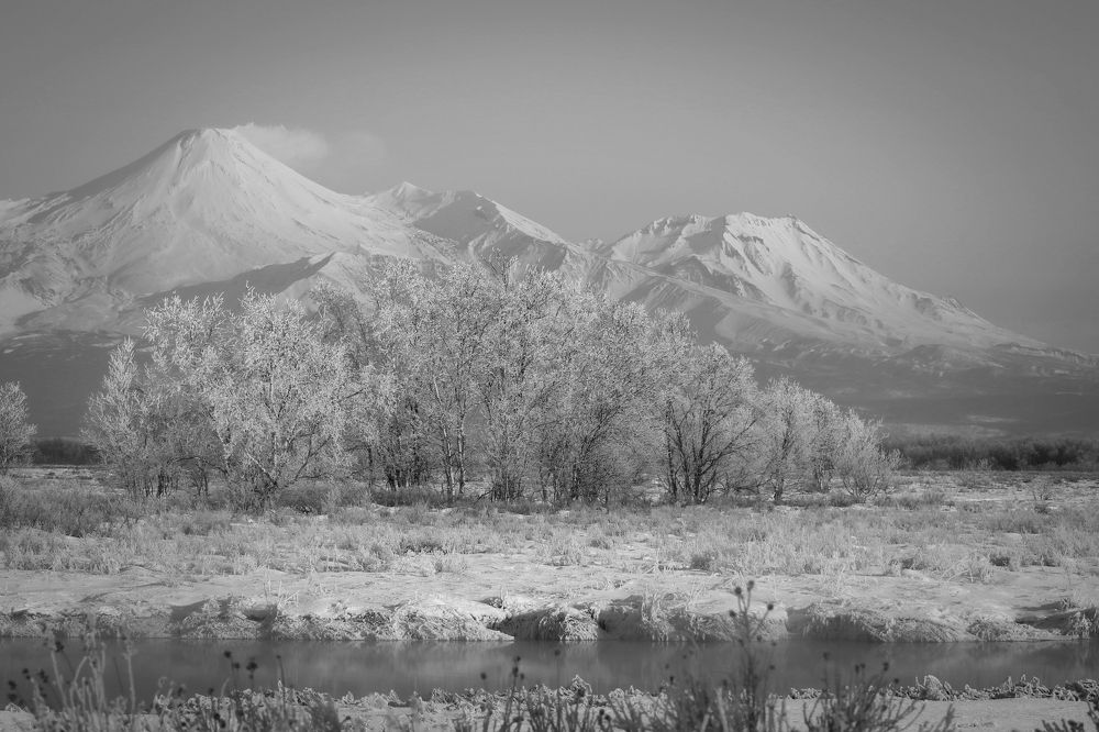 Photograph by Наталья Турчик