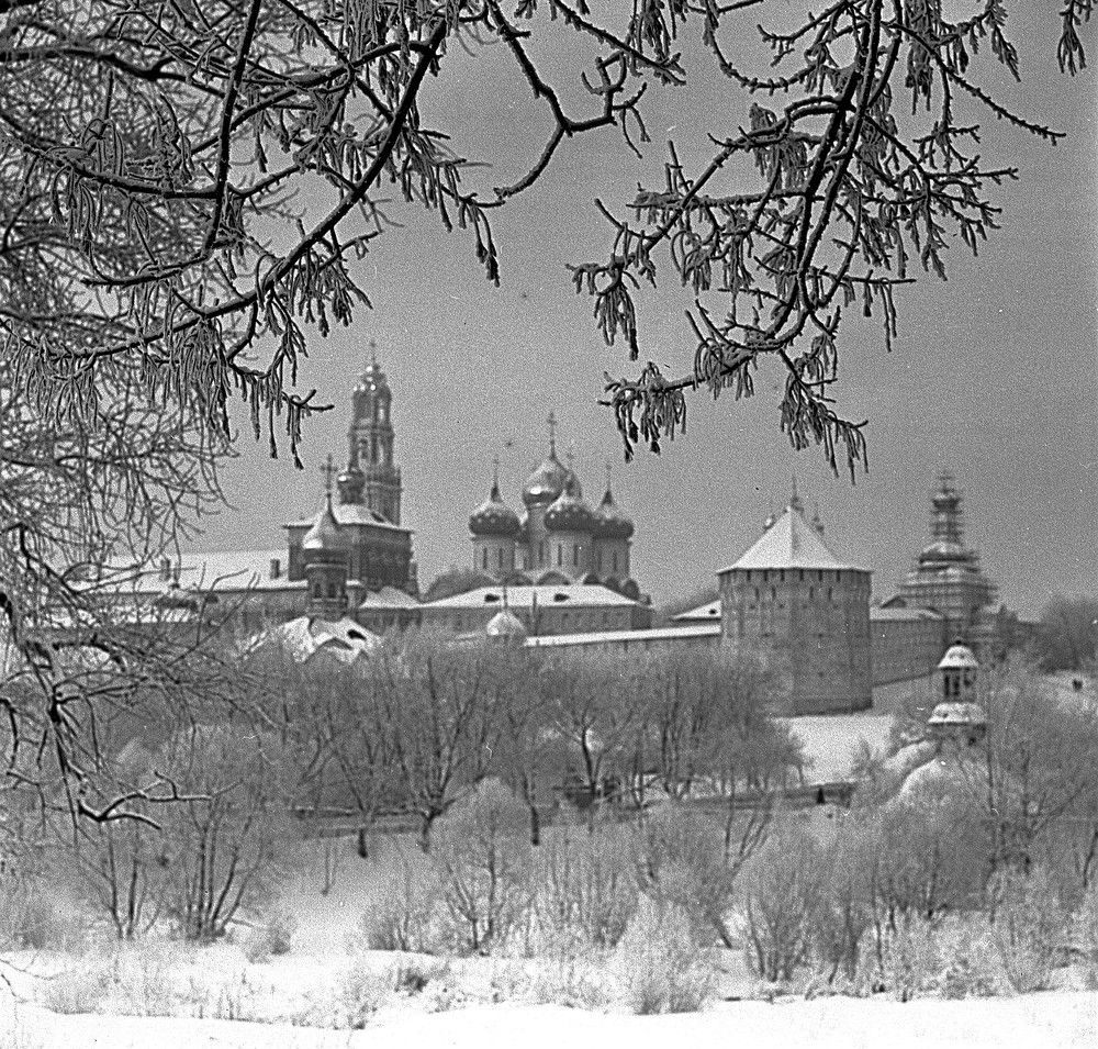 Photograph by Владимир Малёшин