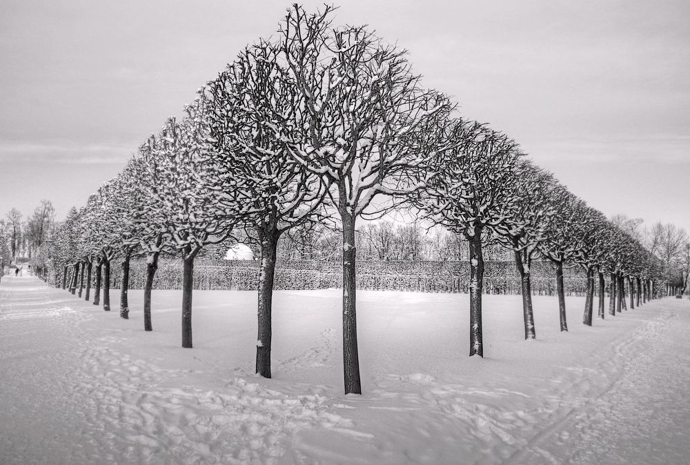 Photograph by Сергей Григорьев