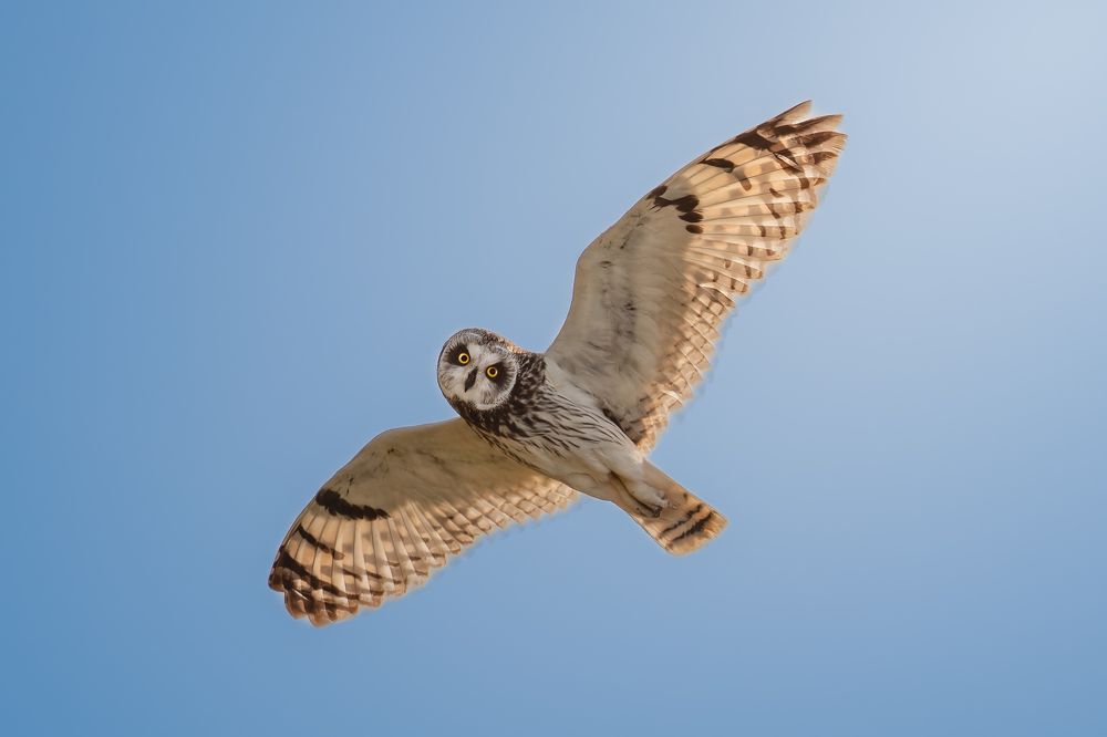 Photograph by Nephotograph