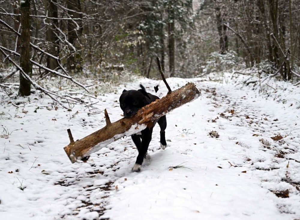 Photograph by Ксения