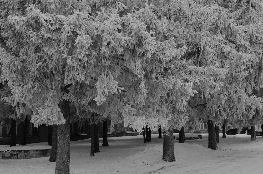 Photograph by Лариса Стрекулева