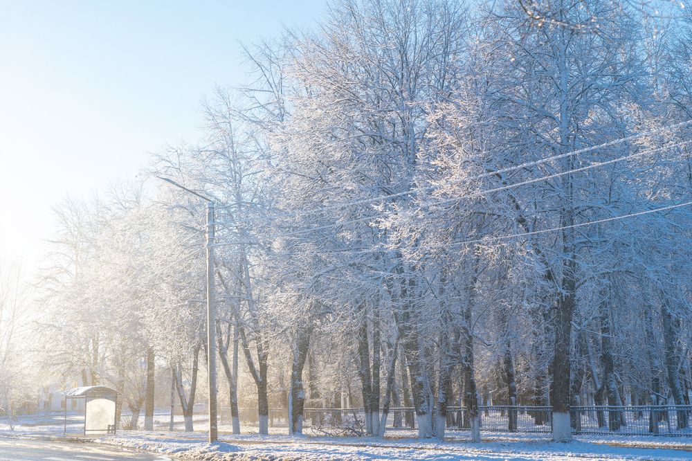 Photograph by Елена Владимировна