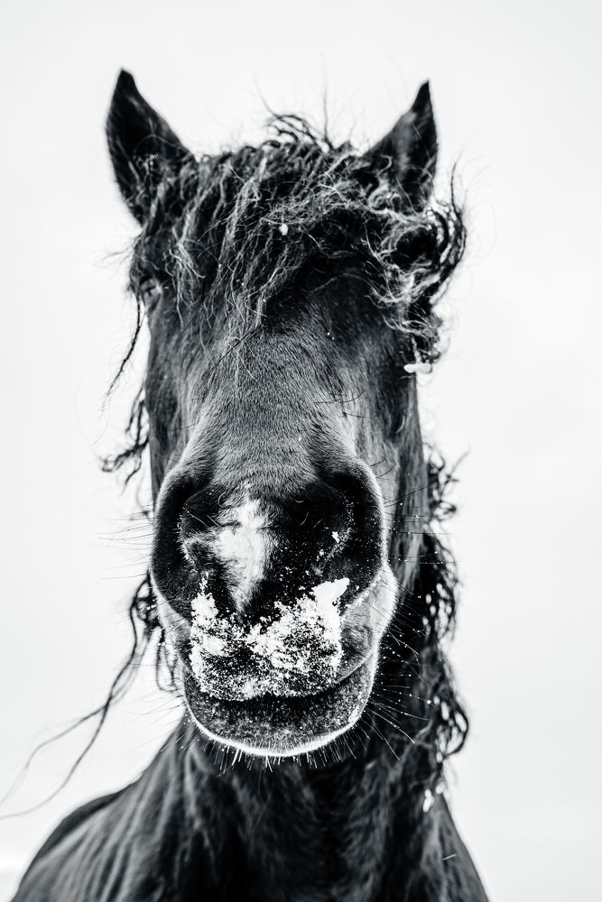 Photograph by Antea Miloloza