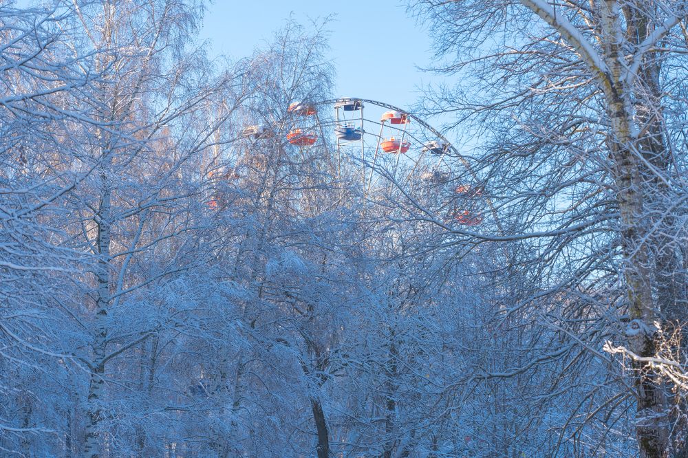 Photograph by Елена Владимировна