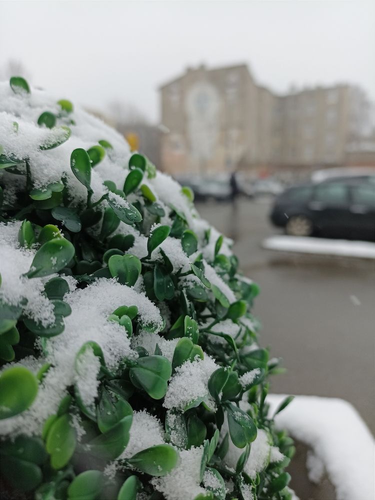 Photograph by Viktoryia М