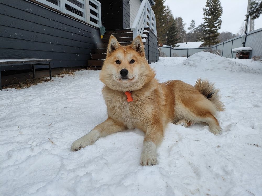 Photograph by Екатерина