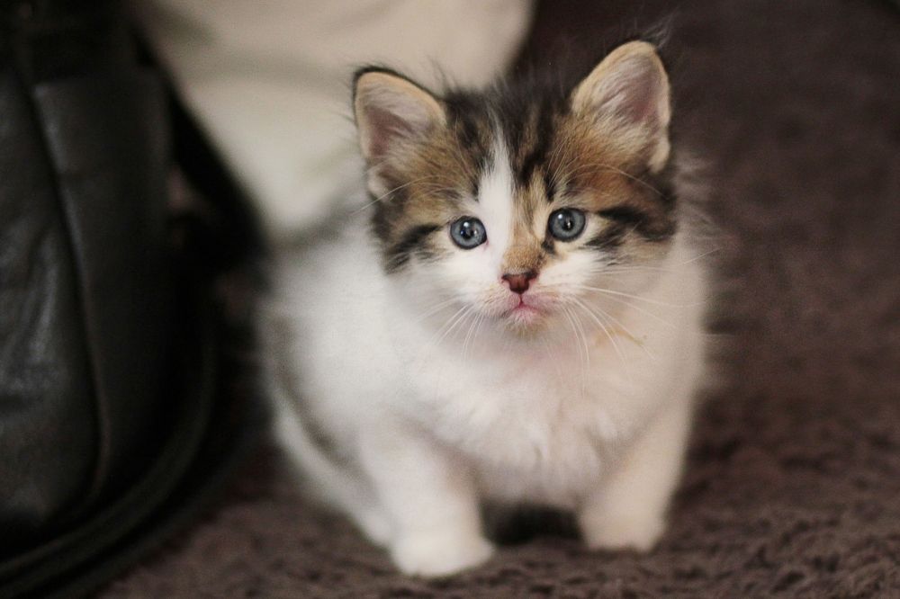 Photograph by Светлана К