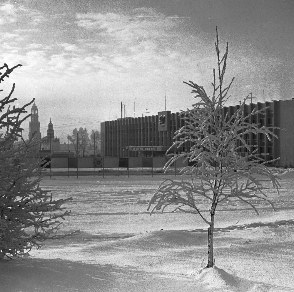 Photograph by Владимир Малёшин