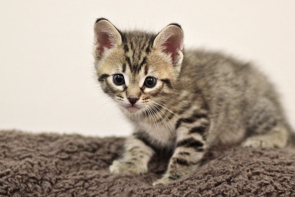 Photograph by Светлана К