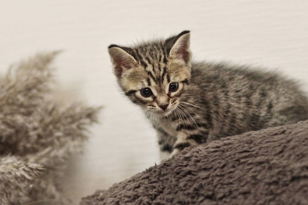 Photograph by Светлана К