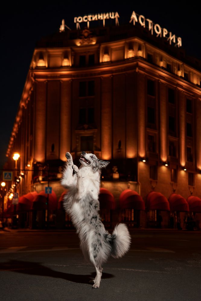 Photograph by Марина Бурмистрова