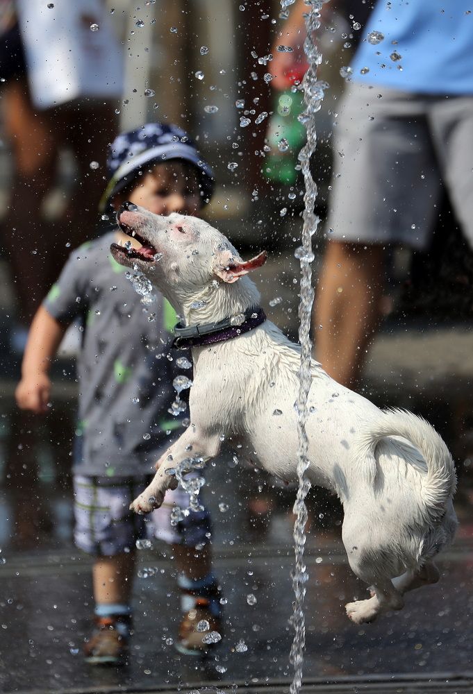 Photograph by Бибичков Михаил