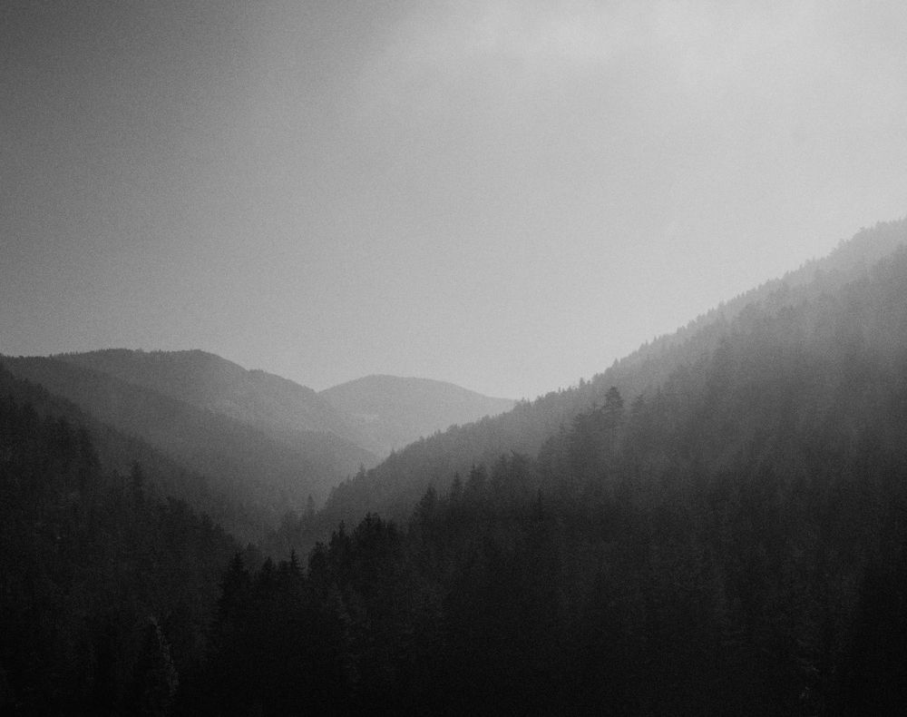 Photograph by Roman Vislobokov