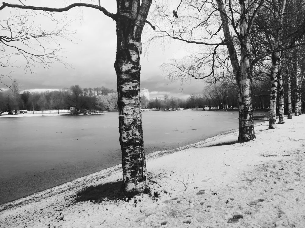 Photograph by Елизавета