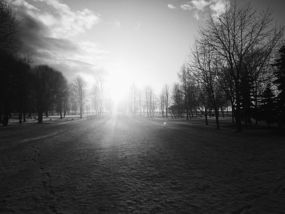 Photograph by Елизавета