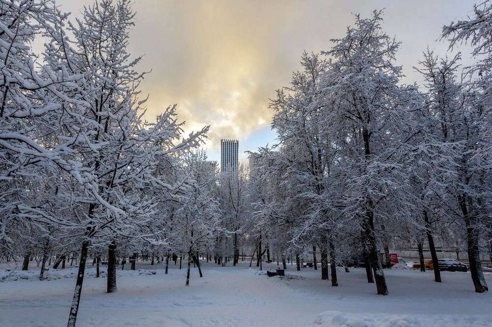 Photograph by Nikolay