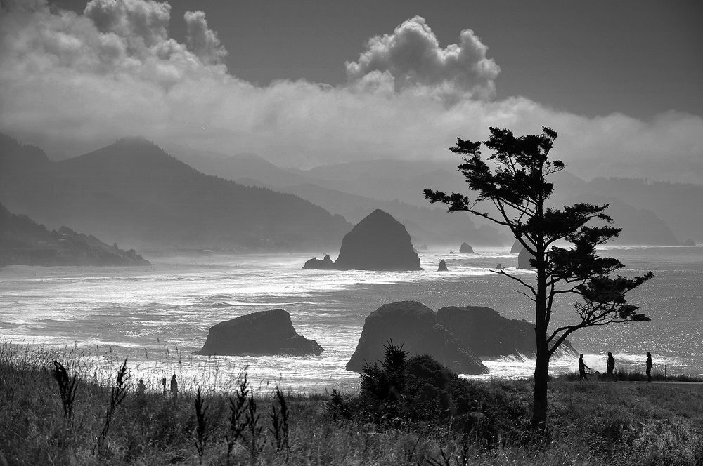 Фотография автора Ковяк Сергей Васильевич