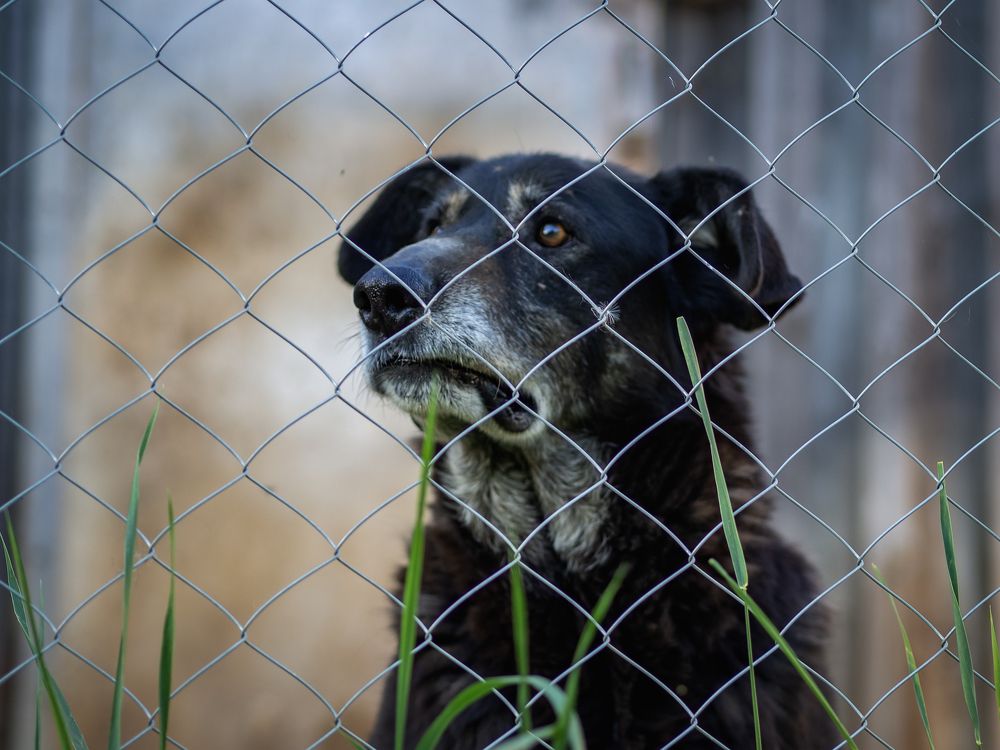 Photograph by Denis Polushin