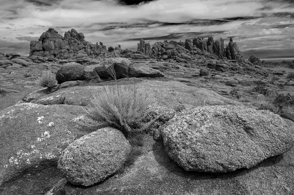 Цветы и камни  Монголии