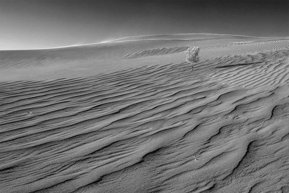 Экспрессия