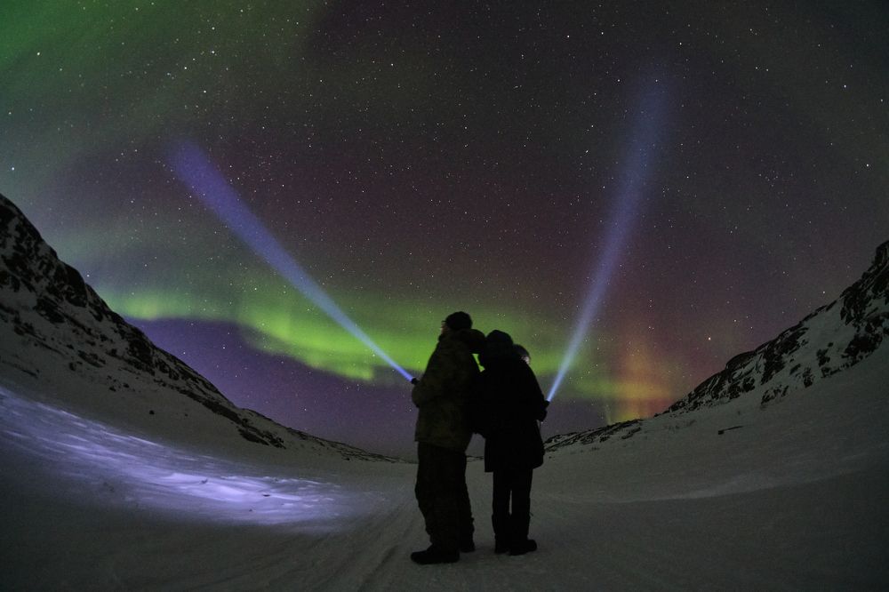 Ночные странники