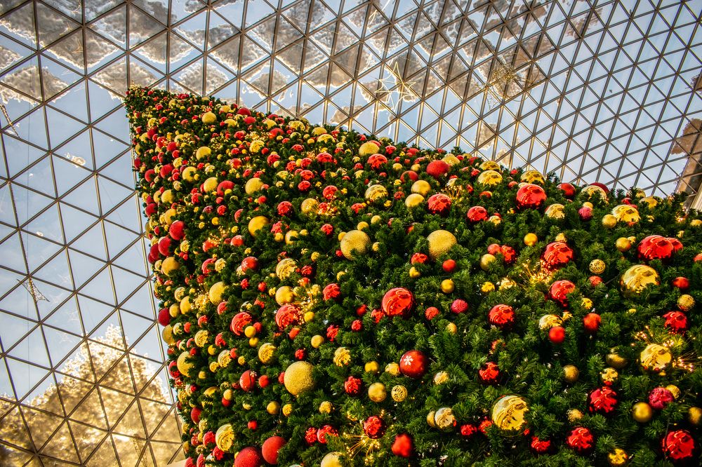 Photograph by Дмитрий Анисимов