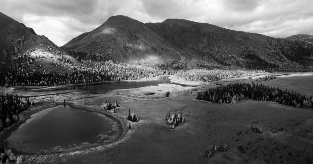 Photograph by Elena Sh