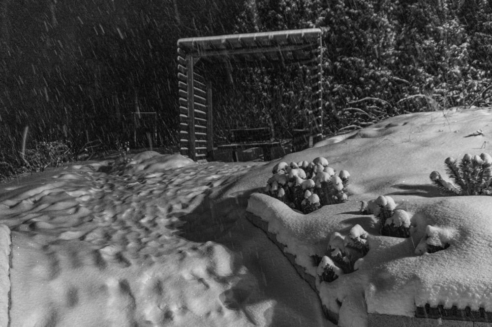 Photograph by Vitaly Lapin