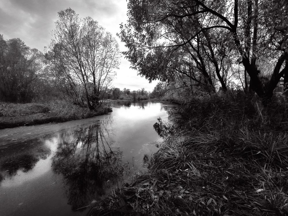 Photograph by Andrey Anikanov