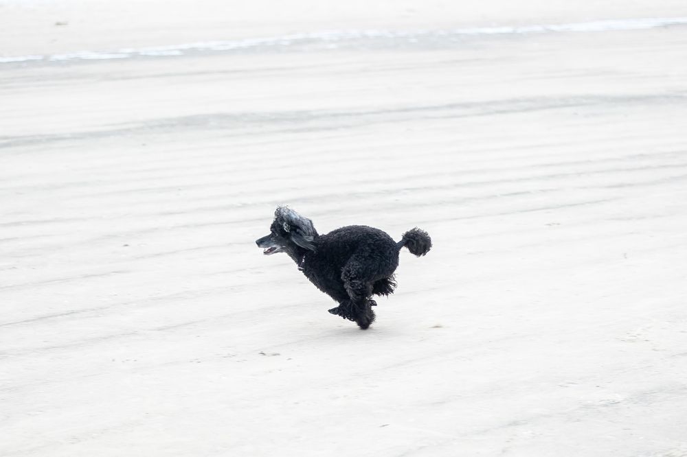 Photograph by Наталья Катюжанская