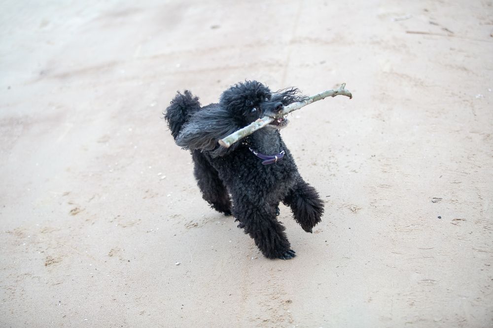 Photograph by Наталья Катюжанская