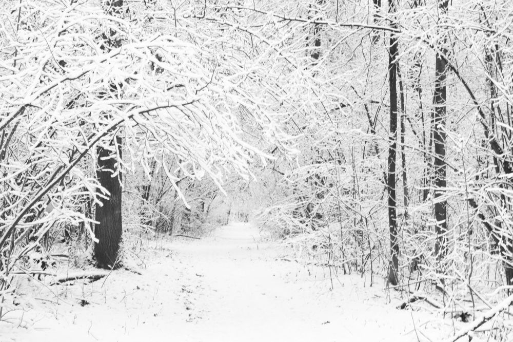 Photograph by Родосская Нонна