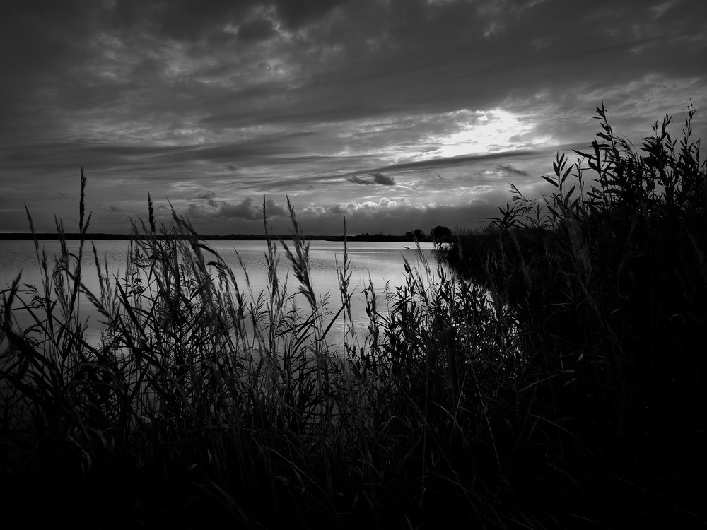 Photograph by Andrey Anikanov